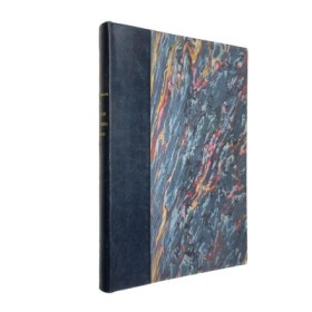 Amour chef-lieu Paris. Illustr. de Touchagues