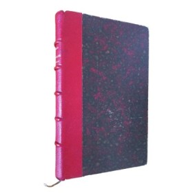 Esprits logiques et esprits faux : les types intellectuels