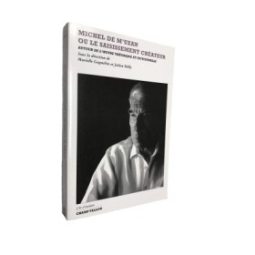 Michel de M'Uzan ou Le saisissement créateur : autour de l'oeuvre théorique et fictionnelle
