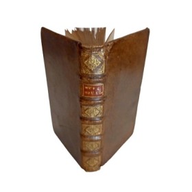 La Muse mousquetaire