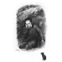 Charles Baudelaire - Les fleurs du mal. Illustrations de Rochegrosse - Tirage Collector - Tranches dorées