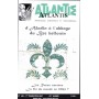 Revue Atlantis N°428 / 2007 / D’Aladin à l’abbaye du Bec/Hellouin / ORIGINAL
