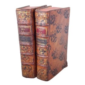 Traité des maladies des os 