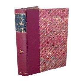 Les Pierres de Paris.