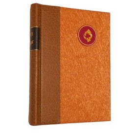 Goya... / Margherita Abbruzzese - traduit de l'italien par Dominique Fort