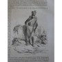 | Histoire de l'empereur Napoléon , par P.-M. Laurent, de l'Ardèche - illustrée de 500 vignettes, par Horace Vernet