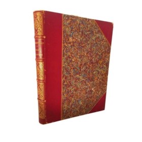 Trop grande. Dessins de Mars