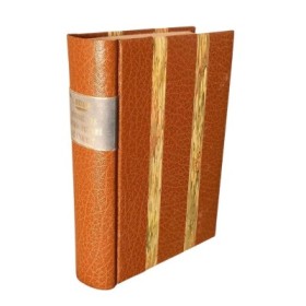 Histoire des anciens peuples de l'Orient... par Louis Ménard