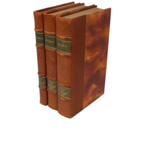 Histoire des idées sociales en France