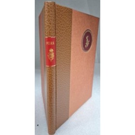 Petra : la ville rose du desert