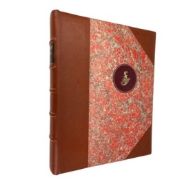 David Copperfield / Charles Dickens - ill. Frank Reynolds