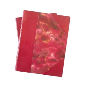 Nouvelle histoire universelle de l'art / publiée sous la direction de Marcel Aubert