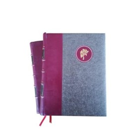 Anna Karénine -  10  et 9 hors texte de Derambure