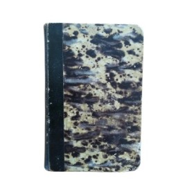 Graziella - Raphaël Pages de la vingtième année