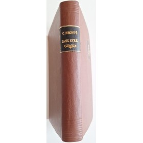 La Vie passionnée de Jane Eyre