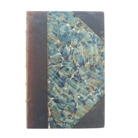 The law of the mental medecine.