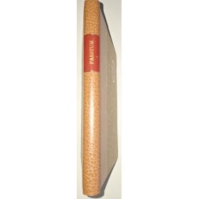 Paestum et Velia Aujourd'hui et il y a 2500 ans(Nouvelle Edition)