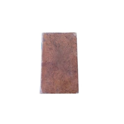 Le Paradis perdu de Milton