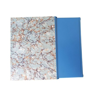 La Galerie des glaces : histoire  &  restauration / Antoine Amarger