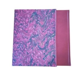 Peintures murales aux Invalides : l'oeuvre révélé de Joseph Parrocel