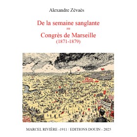 copy of Bibliographie : Georges Vicaire - Manuel de l'amateur de livres du XIXe siècles