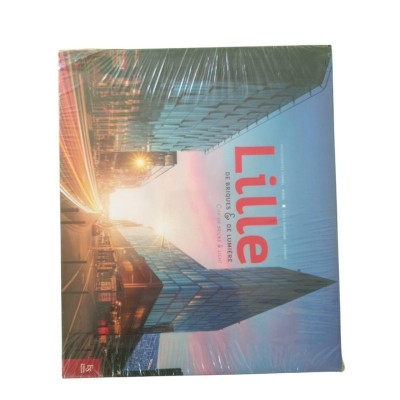 Lille : de briques  &  de lumière / photographies