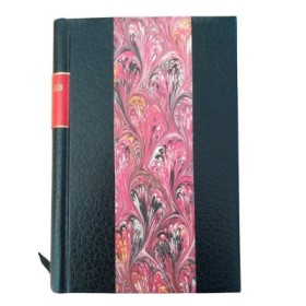 La Vie de Franz Liszt