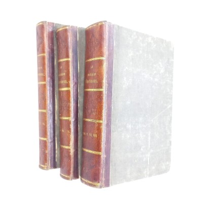 Le Magasin universel : publié sous la direction de savants