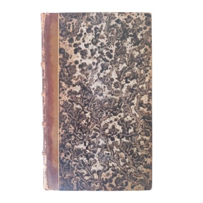 Nouveaux mélanges historiques et littéraires