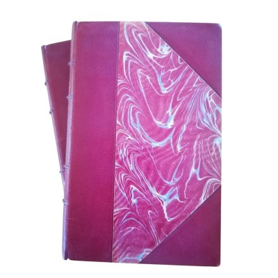 Histoire du mouvement ouvrier... (vol. 2 et 3)