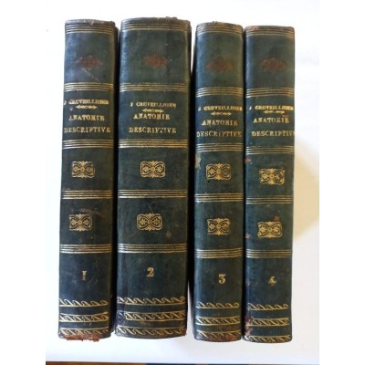 Anatomie descriptive