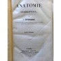 Cruveilhier, Jean | Anatomie descriptive