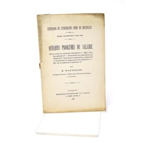 Waxweiler E. Quelques problèmes du salaire