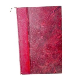 La leçon d'amour dans un parc : roman