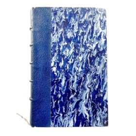 Charles Demailly : roman