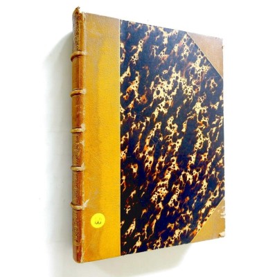 L'oiseau (8e édition