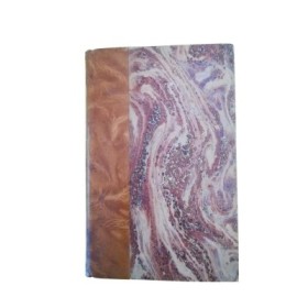 Les Nouveaux Oberlé