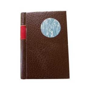 Extraits en prose de Voltaire (Nouvelle éd.) publiés avec une introduction et des notes