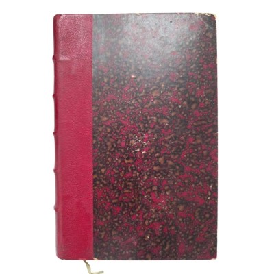 Montalembert : sa jeunesse (1810-1836)