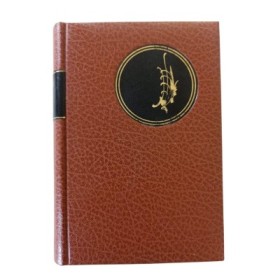 Dictionnaire des synonymes de la langue française 