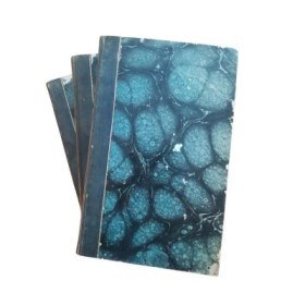 Roland furieux : traduction nouvelle avec la vie de l'Arioste et des notes sur les romans chevaleresques