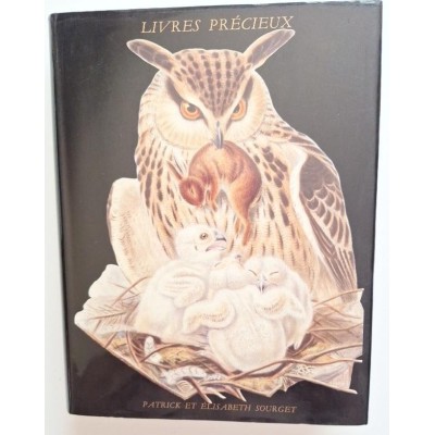 Manuscrits enluminés et livres précieux : catalogue X