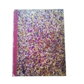 Poésies en patois du Dauphiné par Blanc dit La Goutte. Dessins de M.D. Rahoult