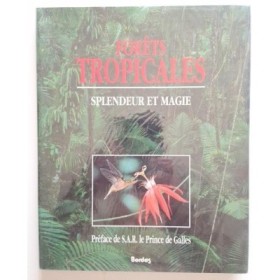 Forêts tropicales : splendeur et magie