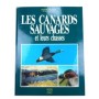 Les canards sauvages et leurs chasses