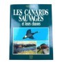 Les canards sauvages et leurs chasses