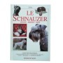 Le schnauzer : géant
