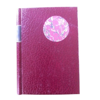 les aventures de Jérôme Bardini : roman / Jean Giraudoux