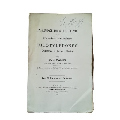 Influence du mode de vie sur la structure secondaire des dicotylédones