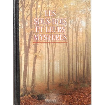 Les sous-bois et leurs mystères